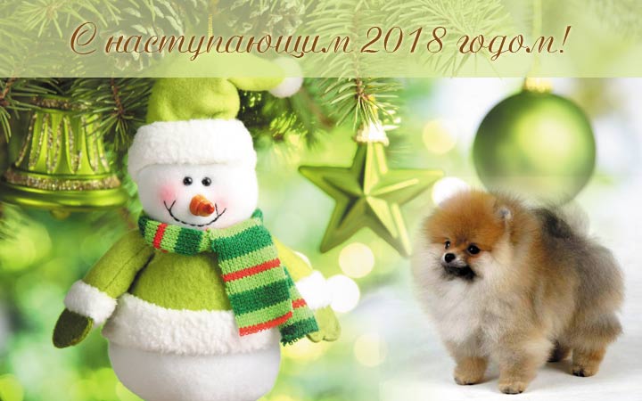 Открытка с Наступающим Новым 2018 годом желтой собаки! 