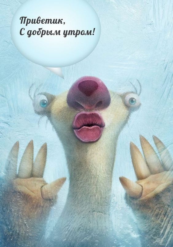 С добрым утром, приветик