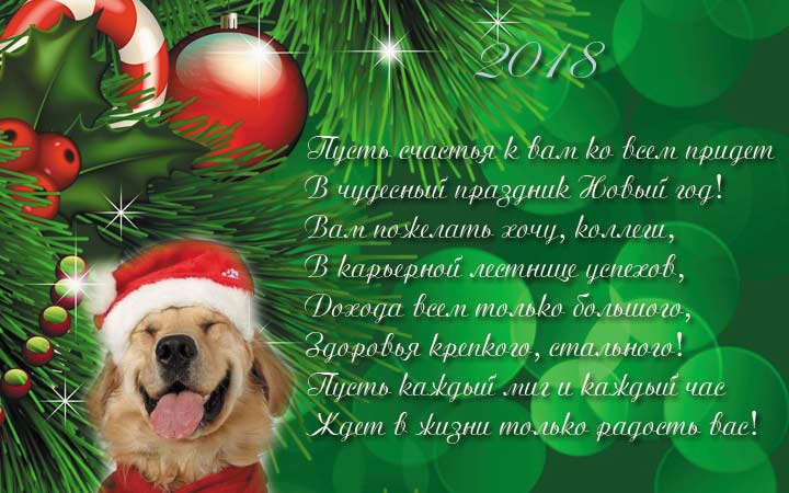 Поздравления коллег с Новым 2018 годом!