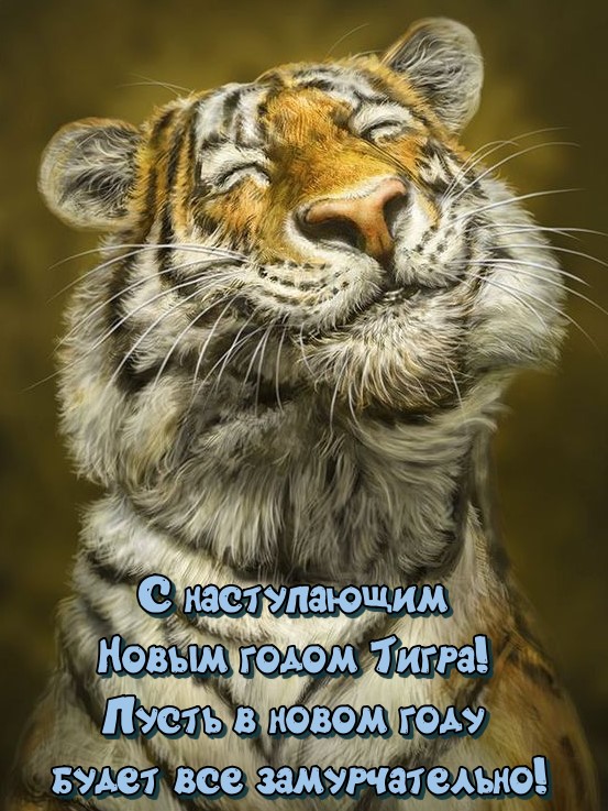 С наступающим Новым годом Тигра, пусть в новом году будет все замурчательно 