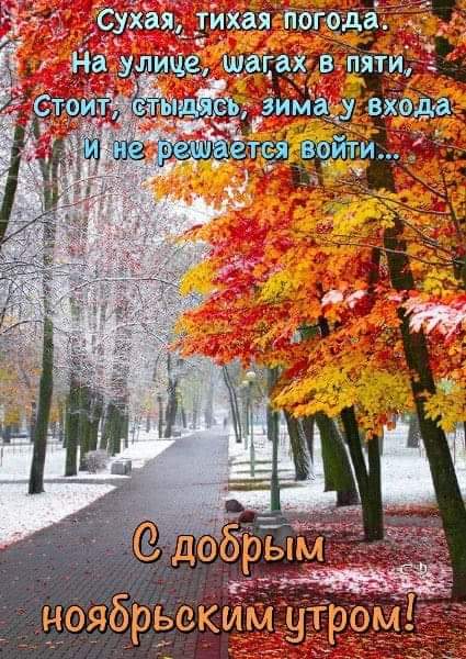 Картинка с добрым ноябрьским утром